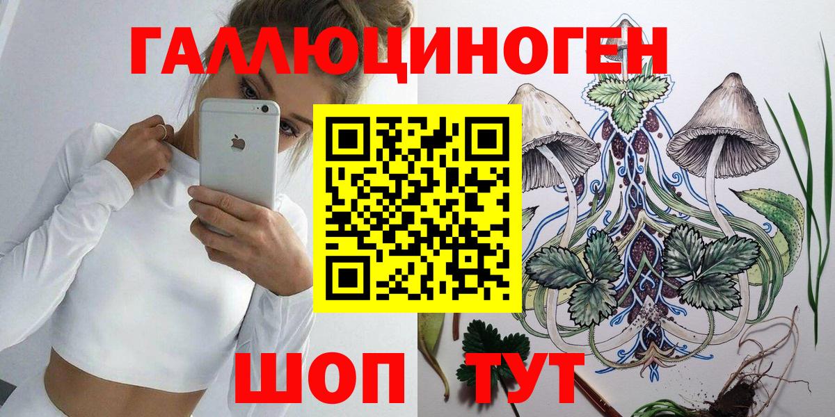 Псилоцибиновые грибы Psilocybine cubensis  Вход с VPN  Псилоцибиновые грибы мухоморы  купить наркотик  Новоалтайск 