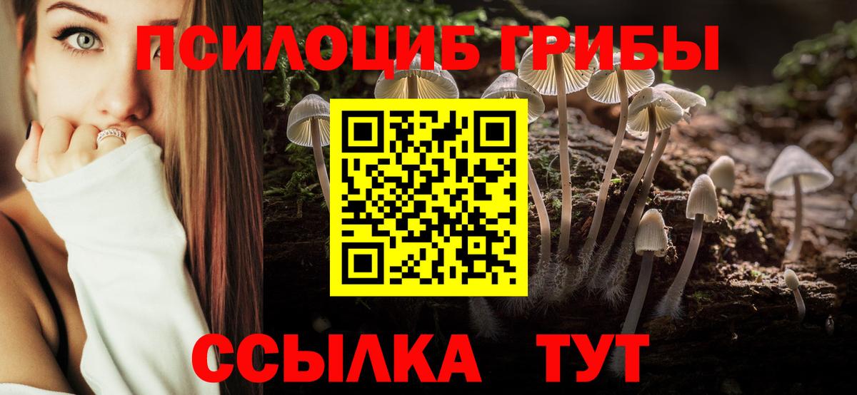 Псилоцибиновые грибы мухоморы Новоалтайск